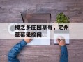 槐之乡庄园草莓，定州草莓采摘园