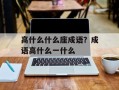 高什么什么座成语？成语高什么一什么