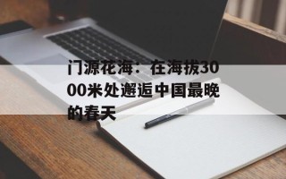 门源花海：在海拔3000米处邂逅中国最晚的春天