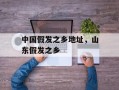 中国假发之乡地址，山东假发之乡