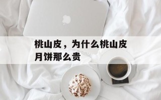 桃山皮，为什么桃山皮月饼那么贵