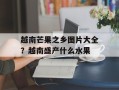 越南芒果之乡图片大全？越南盛产什么水果