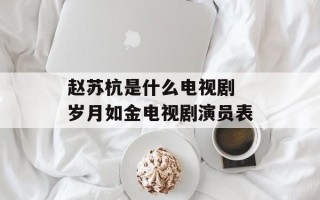 赵苏杭是什么电视剧 岁月如金电视剧演员表