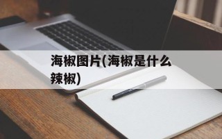海椒图片(海椒是什么辣椒)