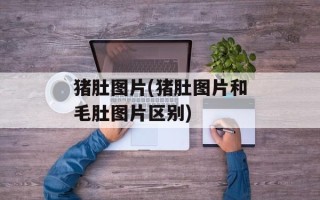 猪肚图片(猪肚图片和毛肚图片区别)