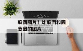 麻圆图片？炸麻团和圆葱圈的图片