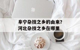 阜宁杂技之乡的由来？河北杂技之乡在哪里
