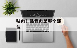 贴肉？贴骨肉是哪个部位