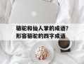 骆驼和仙人掌的成语？形容骆驼的四字成语
