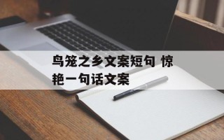 鸟笼之乡文案短句 惊艳一句话文案