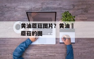 黄油蘑菇图片？黄油焗蘑菇的图