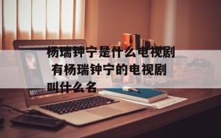 杨瑞钟宁是什么电视剧 有杨瑞钟宁的电视剧叫什么名