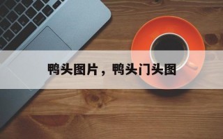 鸭头图片，鸭头门头图