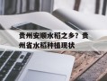 贵州安顺水稻之乡？贵州省水稻种植现状