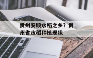贵州安顺水稻之乡？贵州省水稻种植现状