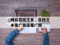 博白荔枝之乡，荔枝之乡是广东还是广西