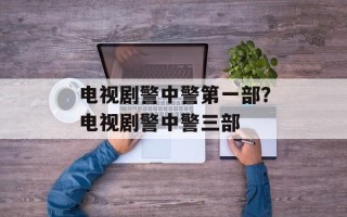 电视剧警中警第一部？电视剧警中警三部