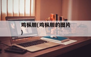 鸡枞胆(鸡枞胆的图片)