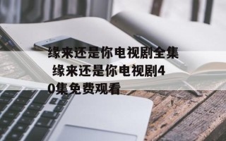 缘来还是你电视剧全集 缘来还是你电视剧40集免费观看
