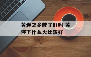黄连之乡牌子好吗 黄连下什么火比较好