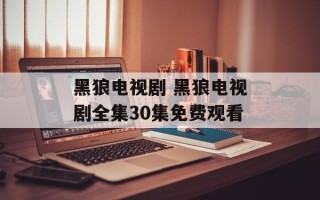 黑狼电视剧 黑狼电视剧全集30集免费观看