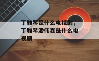 丁雅琴是什么电视剧，丁雅琴潘伟森是什么电视剧