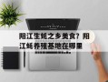 阳江生蚝之乡美食？阳江蚝养殖基地在哪里