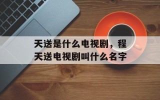 天送是什么电视剧，程天送电视剧叫什么名字