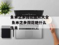 鱼米之乡荷花图片大全 鱼米之乡荷花艳什么生肖