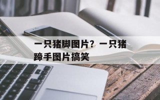 一只猪脚图片？一只猪蹄手图片搞笑