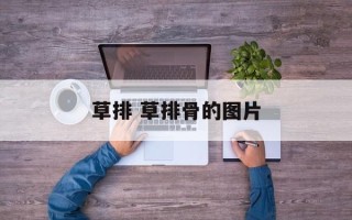 草排 草排骨的图片
