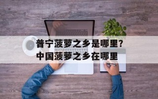 普宁菠萝之乡是哪里？中国菠萝之乡在哪里