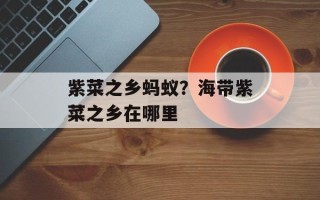 紫菜之乡蚂蚁？海带紫菜之乡在哪里
