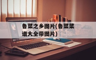 鲁菜之乡图片(鲁菜菜谱大全带图片)