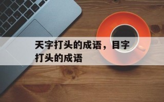 天字打头的成语，目字打头的成语