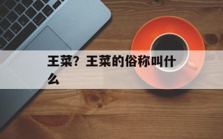 王菜？王菜的俗称叫什么