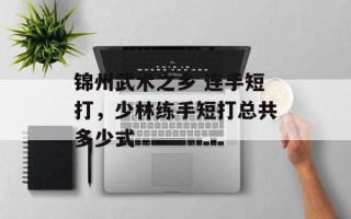 锦州武术之乡 连手短打，少林练手短打总共多少式
