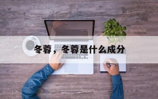 冬蓉，冬蓉是什么成分