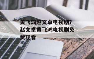 黄飞鸿赵文卓电视剧？赵文卓黄飞鸿电视剧免费观看