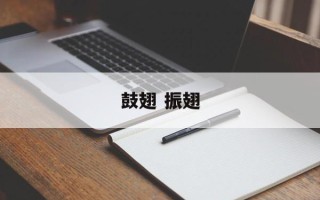 鼓翅 振翅