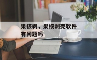 果核剥，果核剥壳软件有问题吗