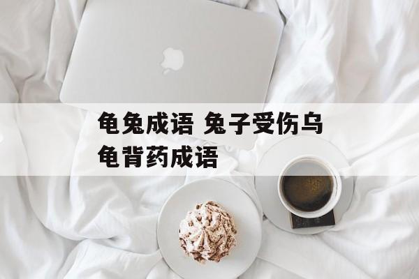 龟兔成语 兔子受伤乌龟背药成语-第1张图片-