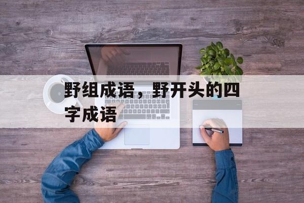 野组成语，野开头的四字成语-第1张图片-