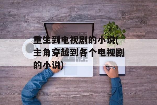 重生到电视剧的小说(主角穿越到各个电视剧的小说)-第1张图片-