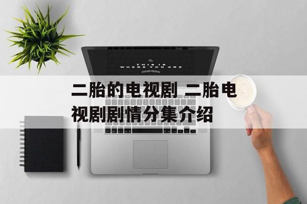 二胎的电视剧 二胎电视剧剧情分集介绍-第1张图片-