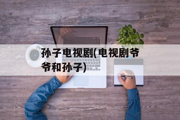 孙子电视剧(电视剧爷爷和孙子)-第1张图片-