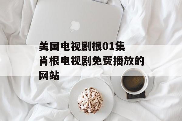 美国电视剧根01集 肖根电视剧免费播放的网站-第1张图片-