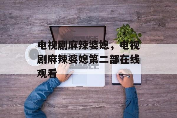 电视剧麻辣婆媳，电视剧麻辣婆媳第二部在线观看-第1张图片-