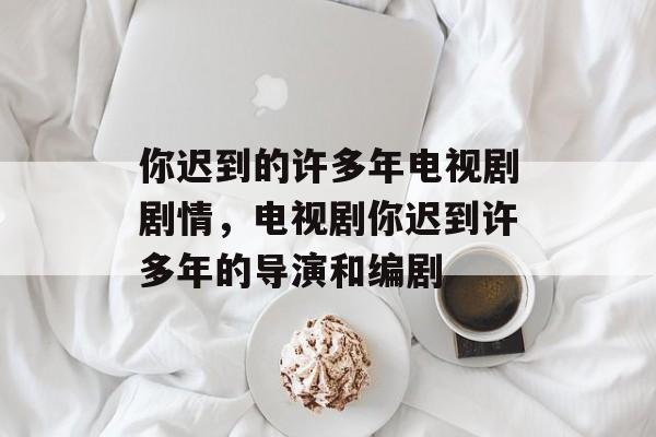 你迟到的许多年电视剧剧情，电视剧你迟到许多年的导演和编剧-第1张图片-