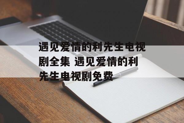 遇见爱情的利先生电视剧全集 遇见爱情的利先生电视剧免费-第1张图片-
